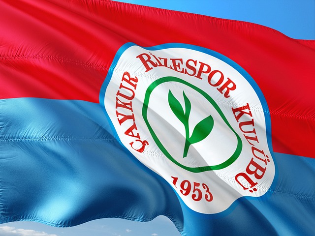 礼仪的明文 礼仪的明文