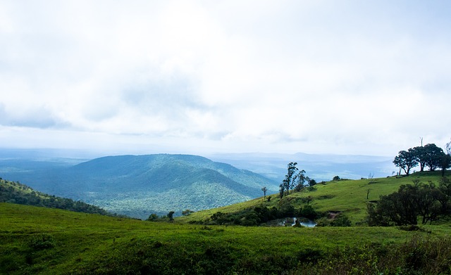富有回报 富有回报