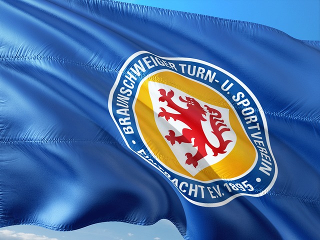 迷关注的焦 迷关注的焦