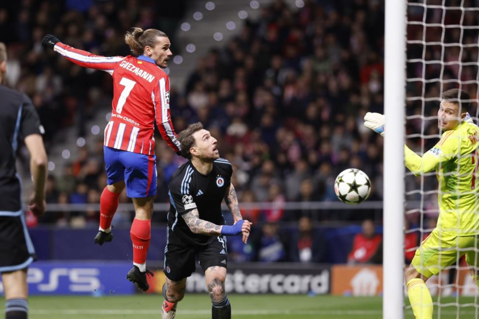 成功案例 成功案例